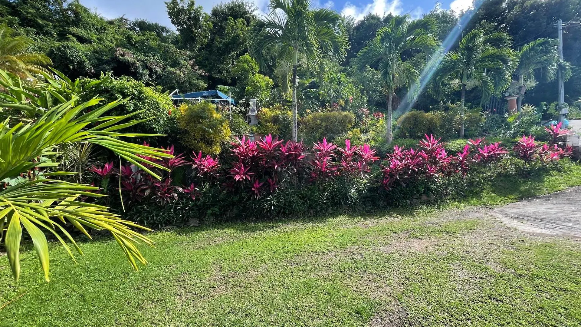 Appartement Perle De L'Ocean à Les Anses-d'Arlet Martinique